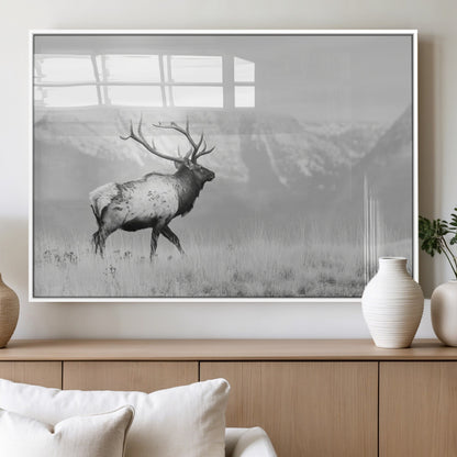 Black and white photograph of a majestic elk standing in a grassy field with snow-capped mountains in the background, creating a bold and rustic wilderness scene.