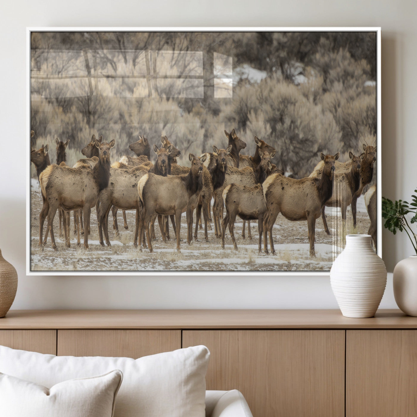 A large herd of elk standing in an open field with soft earthy tones, ideal for rustic lodge or western-themed home wall decor.