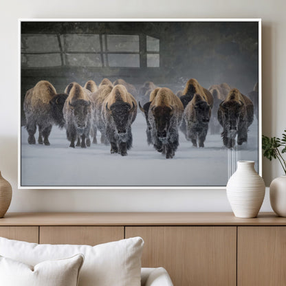 A herd of American bisons walking through deep snow in a forest, evoking a powerful rustic wilderness mood for western-style interiors.