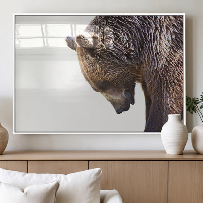 Majestic Bear Portrait - Capture the raw beauty of a bear in a detailed close-up, perfect for your Wall Art Canvas Print collection