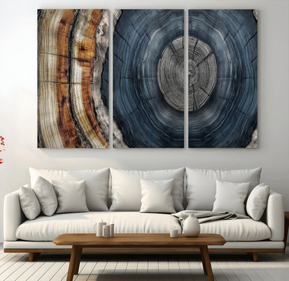 A stunning close-up of a tree trunk showing the intricate, circular growth rings, showcasing the natural textures and rich contrasts in deep blues, browns, and silvers.