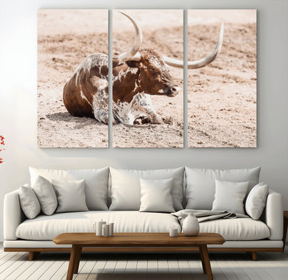 Texas Longhorn bull resting on dusty ground with warm tones, ideal for rustic western or farmhouse-themed wall decor.