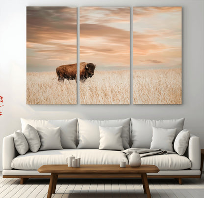 Bison Wall Art Print - Buffalo Canvas Print, featuring a lone bison in a golden prairie under a warm sunset sky, perfect for rustic and farmhouse decor.