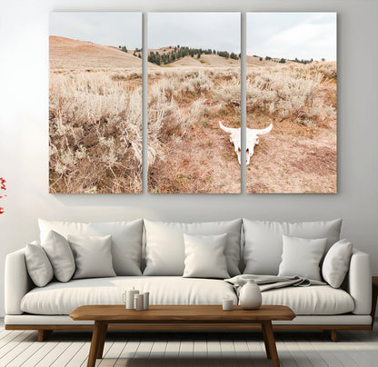 Rustic bull skull on dry sagebrush field under soft light, ideal for western minimal or desert prairie-style wall decoration.