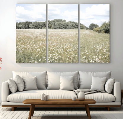 Soft-toned image of a wild daisy field under a cloudy sky, ideal for neutral or Scandinavian-inspired home decor.