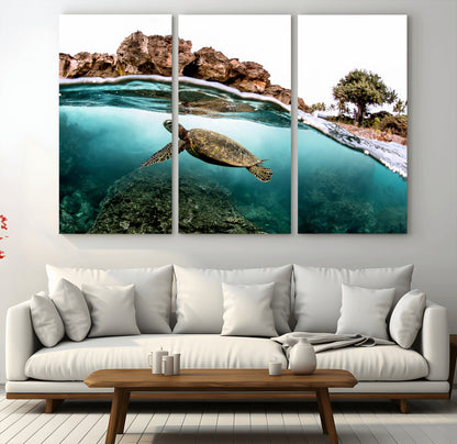 Dynamic split-view photo of a sea turtle swimming near rocky shores, perfect for vibrant coastal or tropical beach home decor.