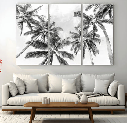 Black and white tropical palm trees viewed from below, swaying gently against a bright sky, creating a serene and elegant coastal atmosphere.