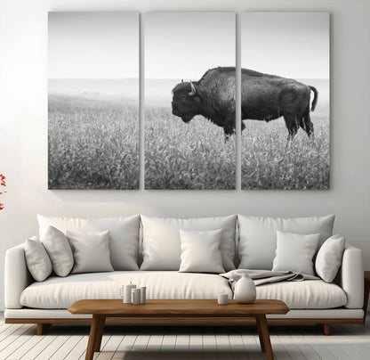 A black and white photograph of a majestic bison standing in a vast grassy prairie, evoking a sense of wilderness and strength.