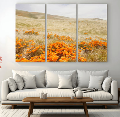 A golden field with vibrant orange poppies blooming across rolling hills under a soft, sunlit sky, creating a warm and rustic landscape.