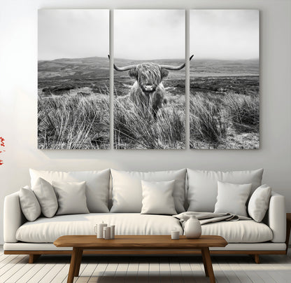 A black and white portrait of a Highland cow in a foggy Scottish countryside, capturing a rustic aesthetic and tranquil farm escape.