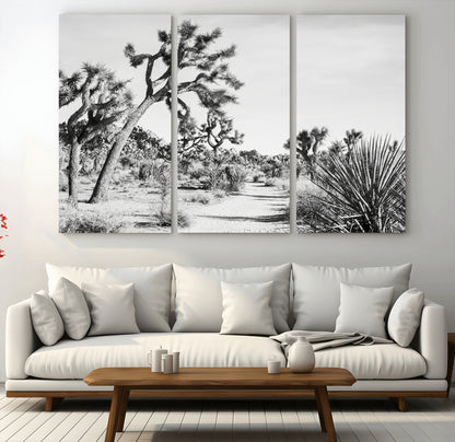Canvas of a Joshua Tree forest in black and white tones, featuring a desert path and spiky vegetation, ideal for minimalist or rustic decor.