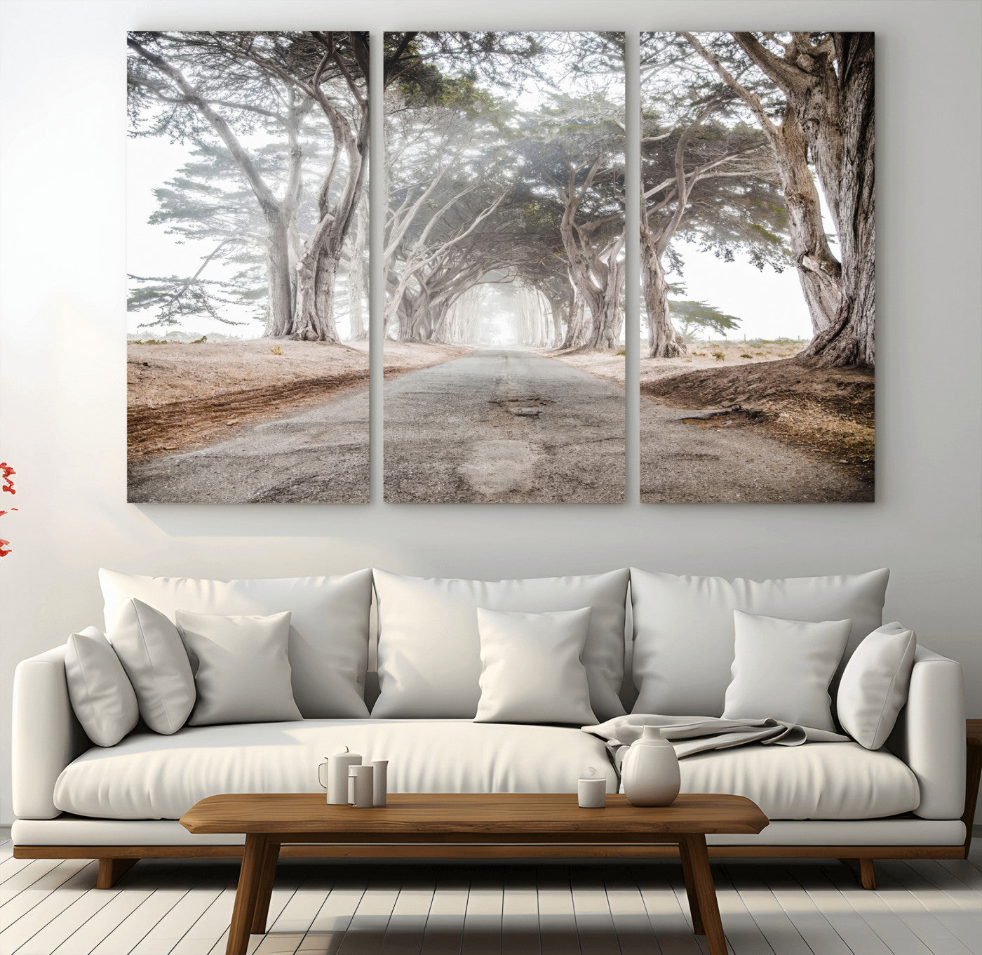 Canvas of a misty tree tunnel with arching cypress trees and an earthy road, ideal for rustic or coastal nature decor.