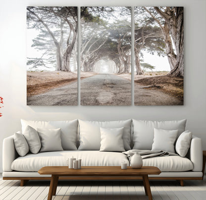 Canvas of a misty tree tunnel with arching cypress trees and an earthy road, ideal for rustic or coastal nature decor.