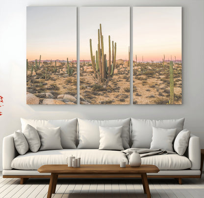 Canvas of tall desert cacti in warm sunset tones over a rocky Baja landscape, ideal for earthy or Southwestern-style home decor.