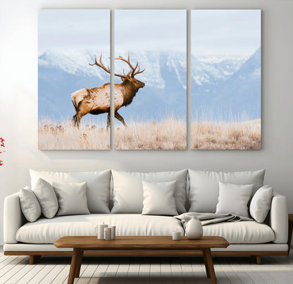 An elk walking on snowy grassland with majestic mountains in the background, ideal for rustic lodge or cabin wall decor.