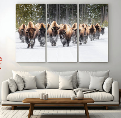 A herd of American bisons walking through a snowy forest path, perfect for rustic cabin or Western-themed wall decor.