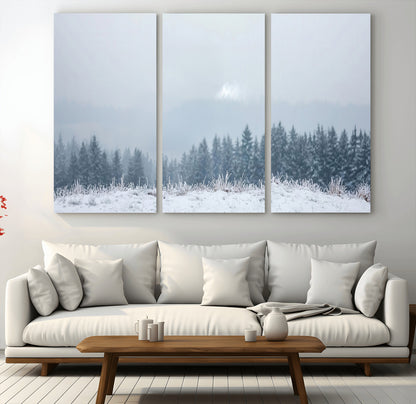 Snow-covered forest under misty sky, soft light breaking through clouds, ideal for minimalist or Nordic-inspired home decor.