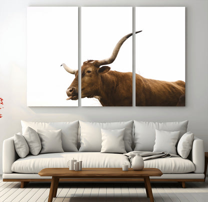 Minimal photo of a longhorn cow with white background, ideal for rustic, western or farmhouse-style interior decor.