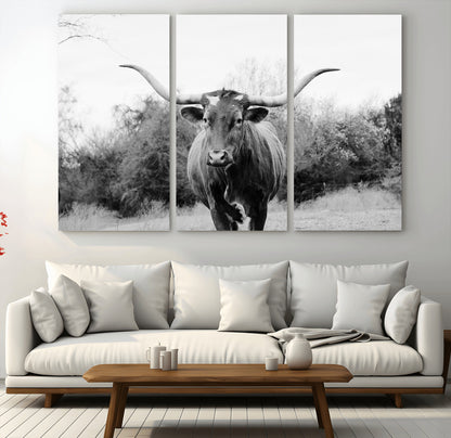Black and white photo of a longhorn cow in a field, perfect for rustic farmhouse or western-themed interior wall decoration.