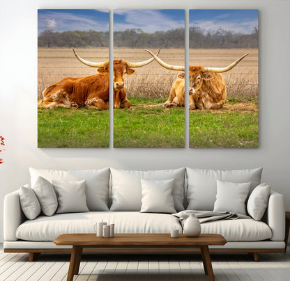 Two longhorn cows lying on green grass in front of a golden field and trees under a blue sky, perfect for rustic country wall decor.