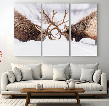 Two elk clashing antlers in a snowy forest, capturing raw power and wild energy, ideal for rustic cabin or lodge-style decor.