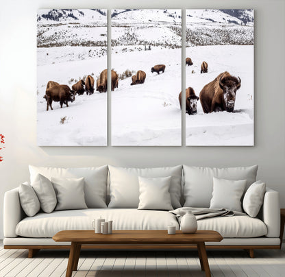 A herd of bison walking through deep snow in a mountain valley, perfect for rustic, cabin or western-themed wall decor.