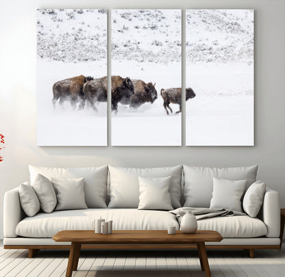 Bison herd running through a snowy open field with mountain backdrop, perfect for rustic or western-themed wall decoration.