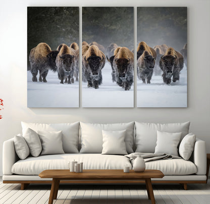 A herd of American bisons walking through deep snow in a forest, evoking a powerful rustic wilderness mood for western-style interiors.