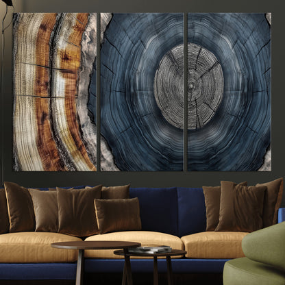 A stunning close-up of a tree trunk showing the intricate, circular growth rings, showcasing the natural textures and rich contrasts in deep blues, browns, and silvers.