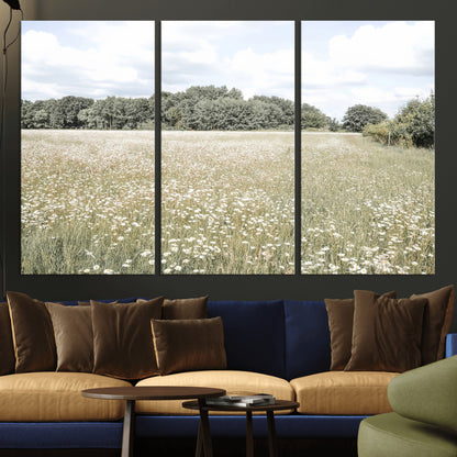 Soft-toned image of a wild daisy field under a cloudy sky, ideal for neutral or Scandinavian-inspired home decor.