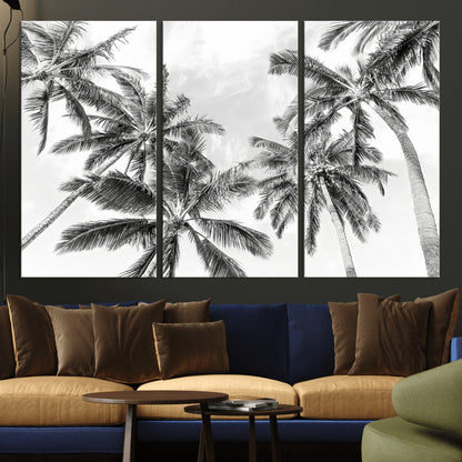 Black and white tropical palm trees viewed from below, swaying gently against a bright sky, creating a serene and elegant coastal atmosphere.
