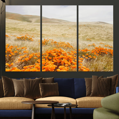 A golden field with vibrant orange poppies blooming across rolling hills under a soft, sunlit sky, creating a warm and rustic landscape.