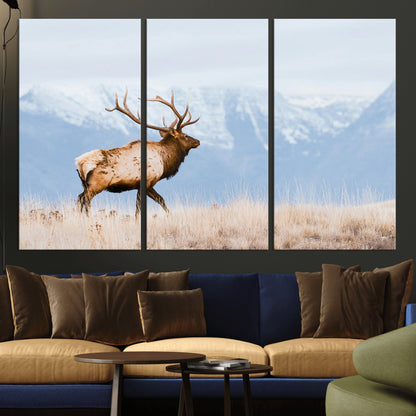 An elk walking on snowy grassland with majestic mountains in the background, ideal for rustic lodge or cabin wall decor.