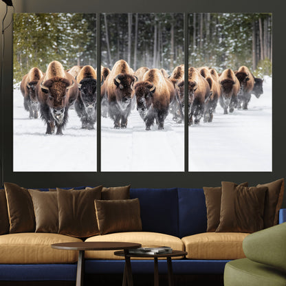 A herd of American bisons walking through a snowy forest path, perfect for rustic cabin or Western-themed wall decor.