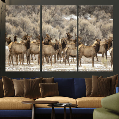 A large herd of elk standing in an open field with soft earthy tones, ideal for rustic lodge or western-themed home wall decor.
