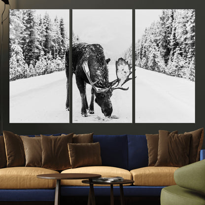 A majestic moose grazing in the snow-covered wilderness, surrounded by snow-covered trees, creating a peaceful winter scene.