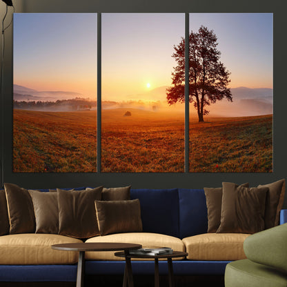 A tranquil landscape at sunrise with a mist-covered field and a lone tree, creating a peaceful and natural atmosphere.