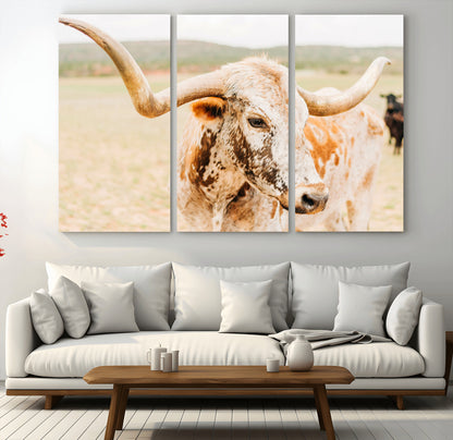 Close-up of a speckled Texas Longhorn in warm prairie tones, perfect for rustic western or countryside-themed room decor.