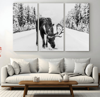 A majestic moose grazing in the snow-covered wilderness, surrounded by snow-covered trees, creating a peaceful winter scene.