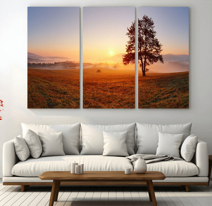 A tranquil landscape at sunrise with a mist-covered field and a lone tree, creating a peaceful and natural atmosphere.