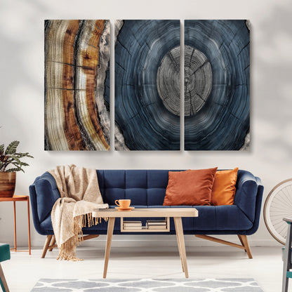 A stunning close-up of a tree trunk showing the intricate, circular growth rings, showcasing the natural textures and rich contrasts in deep blues, browns, and silvers.