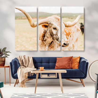 Close-up of a speckled Texas Longhorn in warm prairie tones, perfect for rustic western or countryside-themed room decor.