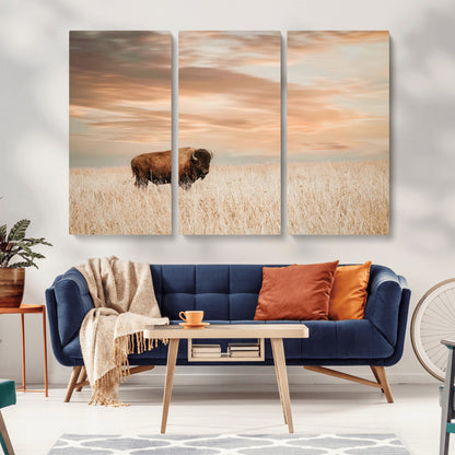 Bison Wall Art Print - Buffalo Canvas Print, featuring a lone bison in a golden prairie under a warm sunset sky, perfect for rustic and farmhouse decor.