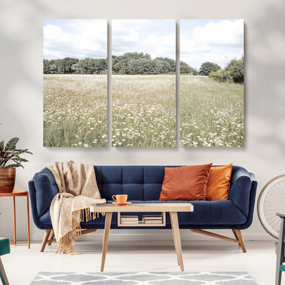 Soft-toned image of a wild daisy field under a cloudy sky, ideal for neutral or Scandinavian-inspired home decor.