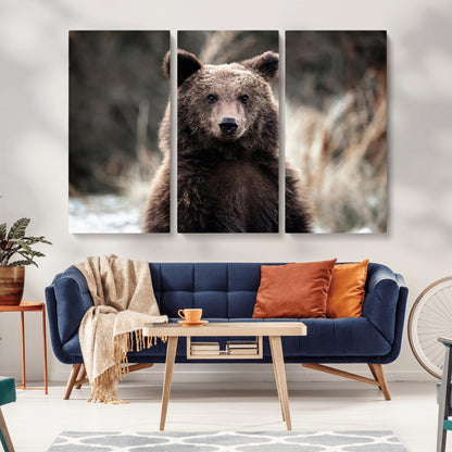 Canvas of a brown bear in soft earthy tones and moody forest light, ideal for rustic cabin or woodland nature-themed home decor.