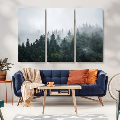 A misty evergreen forest shrouded in soft fog, creating a tranquil and moody landscape with lush green trees fading into the distance.