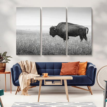 A black and white photograph of a majestic bison standing in a vast grassy prairie, evoking a sense of wilderness and strength.