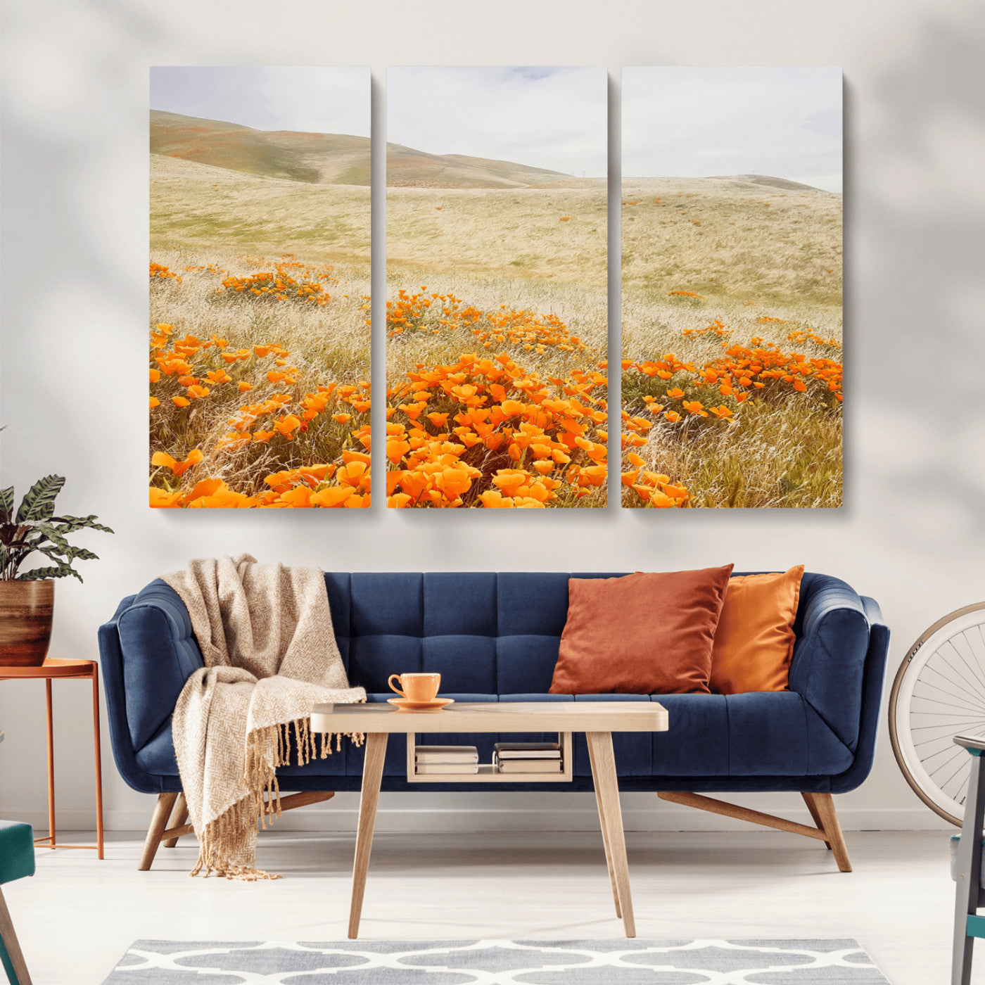A golden field with vibrant orange poppies blooming across rolling hills under a soft, sunlit sky, creating a warm and rustic landscape.