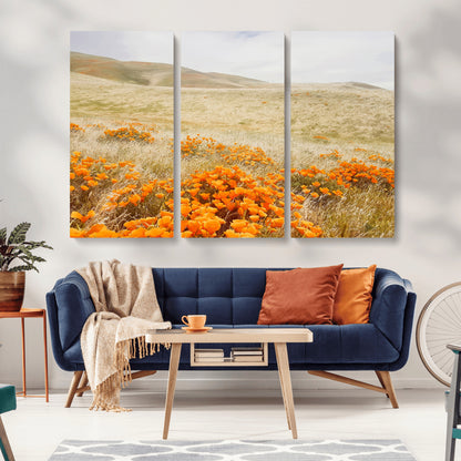 A golden field with vibrant orange poppies blooming across rolling hills under a soft, sunlit sky, creating a warm and rustic landscape.