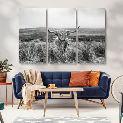 A black and white portrait of a Highland cow in a foggy Scottish countryside, capturing a rustic aesthetic and tranquil farm escape.